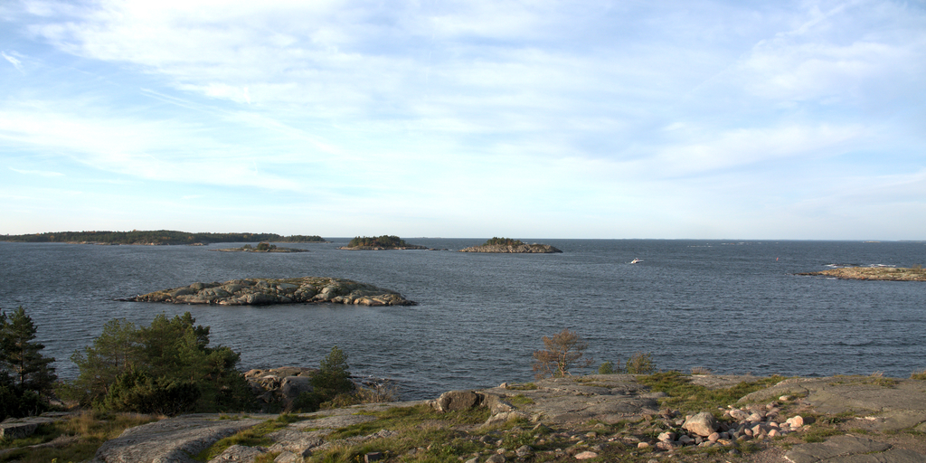 Vähintään neljän hylsyn viikko