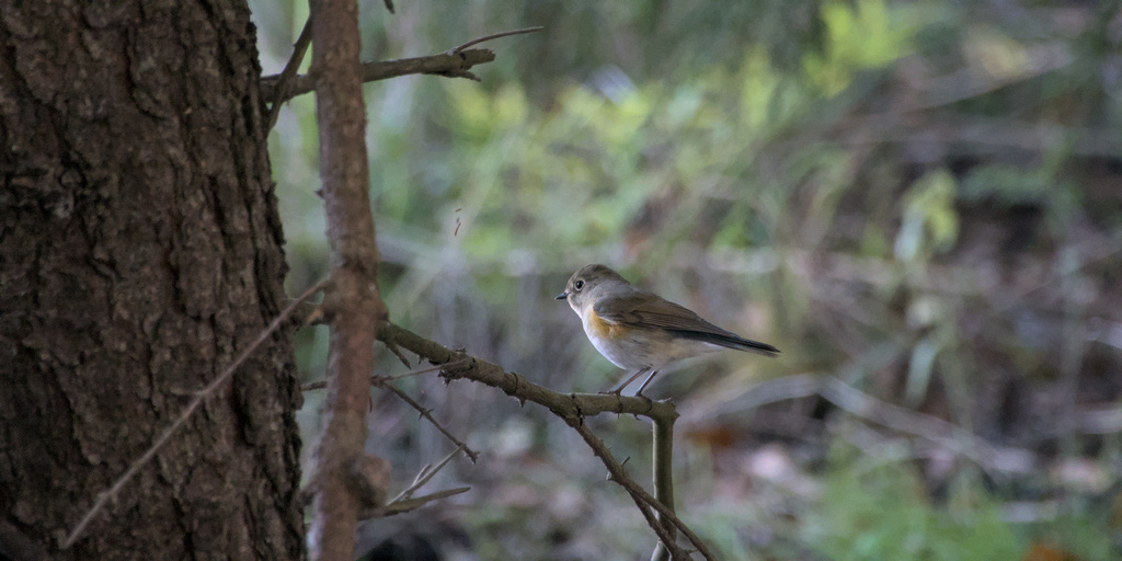Epäilykin on jo jotain