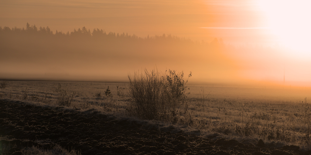 Holtitonta hylsytystä!