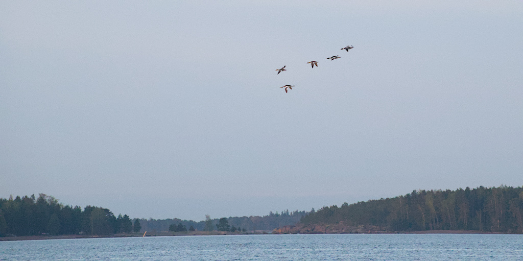 Vähän välipäivä